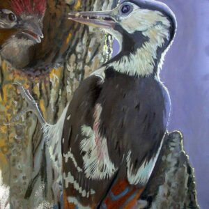 ‘On duty’ (Syrian Woodpecker)
