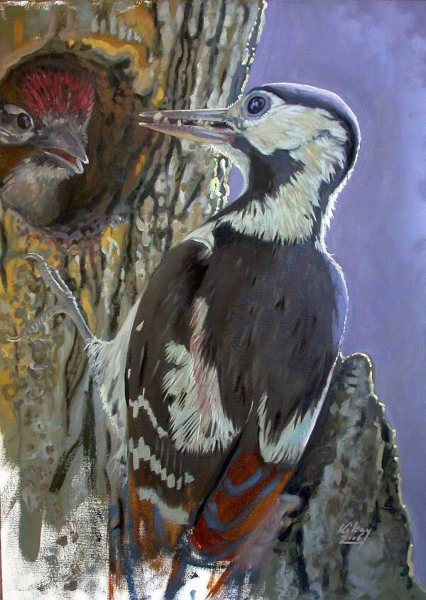 ‘On duty’ (Syrian Woodpecker)